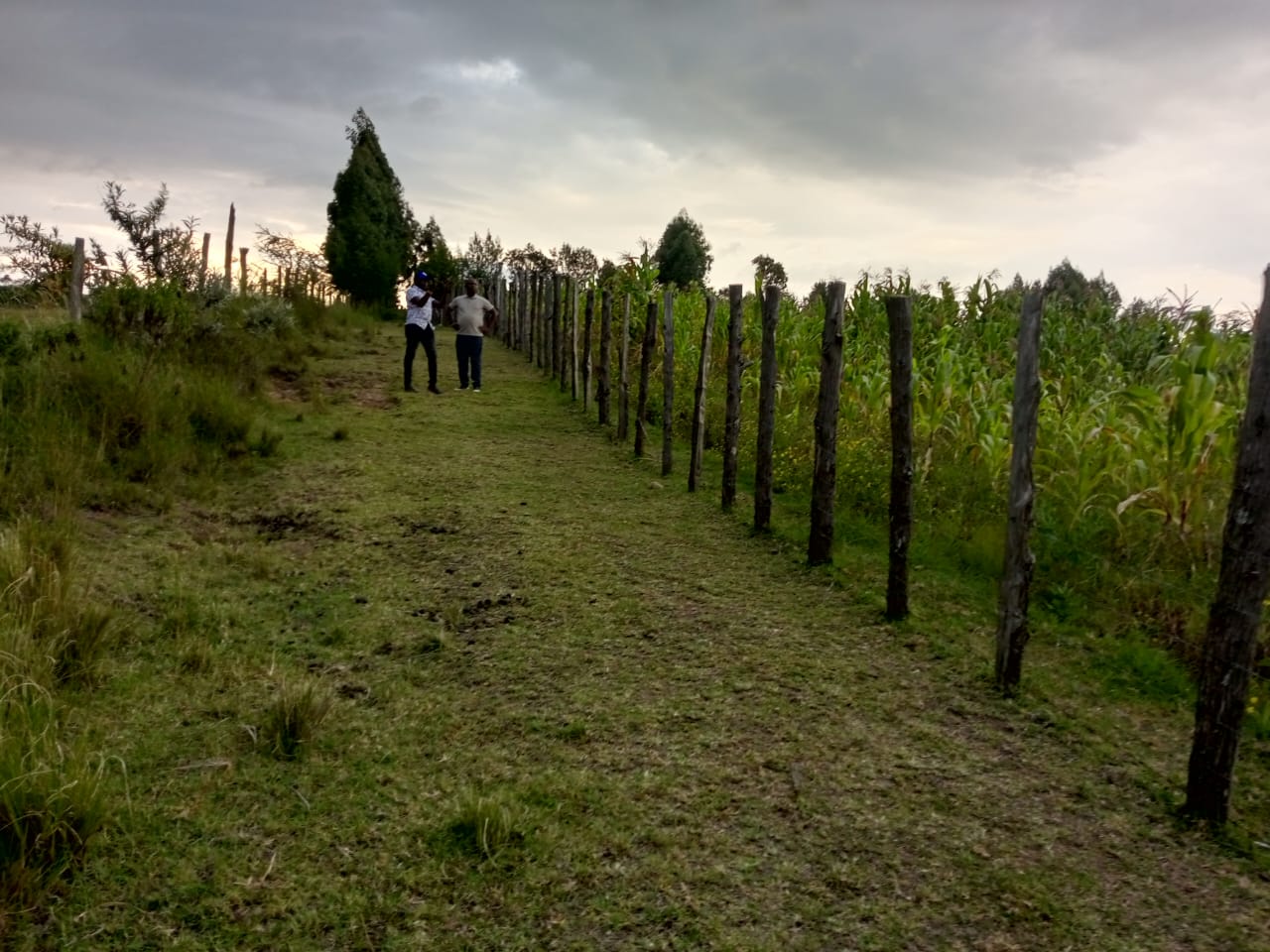land for sale in Narok – Rotian fenced land